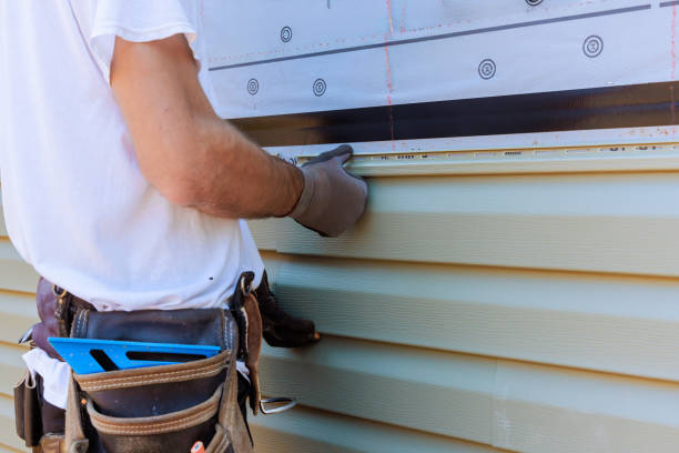 Best Vinyl Siding Installation  in Brownfield, TX